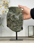 Unique Large Green Quertz Druzy Formation with Calcite Inclusions - MWS2787