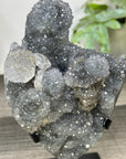 Natural Quartz Crystal Cluster on Stand - MWS3283