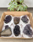 Mineral Specimens Lot - MSLT0207