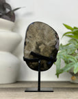 Uruguayan Amethyst Geode on Stand - MWS3303