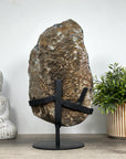 Large Sugar Amethyst Geode with Quartz Shell - MWS0137