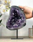 Large Natural Amethyst Geode - MWS2342