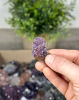 Mineral Specimens Lot - MSLT0124