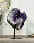 Amethyst Crystal Cluster Geode with Quartz Shell - MWS2636