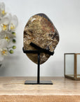 Natural Amethyst Cluster Formation, Perfect for New Home Gift - MWS1860