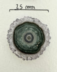 Genuine Amethyst & Green Jasper Stalactite Slices Flat - Perfect for Crafting Unique Jewelry - STS0045