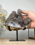 Natural Quartz Clsuter with Unique Stalactite Formation - MWS1889