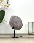 Natural Quartz talactite Formation - MWS2878