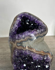 Amethyst Geode with Dark Purple Crystals on Stand - MWS2647