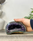 Uruguayan Amethyst geode with Jasper Shell - STGE0073
