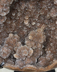 Quartz Geode with Microworld Stalactite Formation - MWS1288