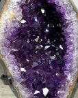Uruguayan Amethyst & Agate Geode with Metallic Stand - MWS2152
