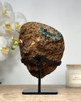 Natural Quartz & Jasper Geode, Stand Included - MWS1470