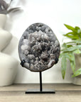 Natural Quartz Cluster Specimen with Rare Crystal Formations - MWS3158
