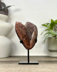 Natural Fire Quartz Cluster on Stand - MWS3369