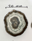Natural Amethyst, Quartz & Jasper Stalactite Slices Wholesale Flat - Ideal for Pendants - STS0065