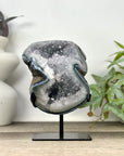Natural Quartz Geode Statement piece on Stand - MWS3296