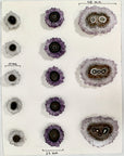 Amethyst Stalactite Slices Wholesale Flat - Ideal for Pendants - STS0055