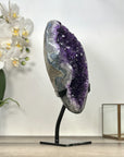 Uruguayan Amethyst Geode with agate Shell Statement Piece - MWS2962