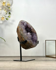 Amethyst Geodeo with Stalactite Formation from Uruguay - MWS2971