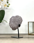 Natural Quartz talactite Formation - MWS2878