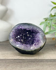 Natural Uruguayan Amethyst Geode - STGE0037