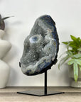 Natural Green Tone Quartz Geode with Stalactite Formations - MWS3362