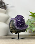 Natural Amethyst Crystal Cluster - MWS3305