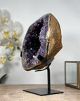 Amethyst Geode Cave with Polished Shell - MWS1792