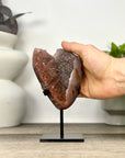 Natural Fire Quartz Cluster on Stand - MWS3369