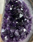 Amethyst Geode with Deep Purple Crystals - CBP1149