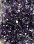 XXL Natural Amethyst Specimen on Stand - MWS3093