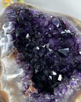 Deep Purple Amethyst Geode with Agate Shell - MWS2188