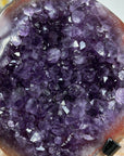 Deep Purple Amethyst Geode with Red Tone Jasper Shell - MWS1573