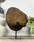 Natural Agate Geode with Beautiful Quartz interior - MWS3364