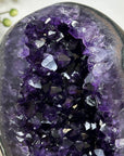 Top Grade Premium Amethyst Geode with Metal Stand - MWS2468
