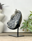 Uruguayan Grey Quartz with Micro Stalactites Formations - MWS3295