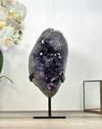 Natural Amethyts Cluster with Large Crystals - MWS2981