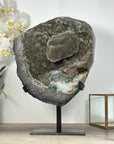 Collection Grade Natural Green Quartz Druzy Specimen - MWS2538