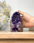 Natural Amethyst Cathedral with Deep Purple Crystals - CBP1105