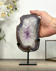Amethyst Quartz & Banded Agate Geode Slice - MWS2999