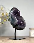 Natural Amethyst Crystal Specimen, Stand included - MWS1361