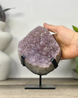 Natural Amethyst Cluster with Unique Quartz Matrix - MWS3333