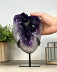 Unique A grade Amethyst Crystal Cluster with Huge Crystals - MWS2165