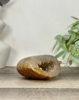 Yellow Sugar Druzy Quartz Geode - STGE0060