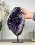 Top Grade Natural Amethyst Crystal Cluster – Deep Purple Statement Piece from Uruguay - MWS2398