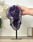 Uruguayan Amethyst Geode with agate Shell Statement Piece - MWS2962