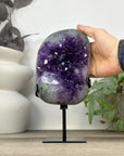 Large Natural Amethyst Geode with Deep Purple Amethyst Crystals - MWS3315