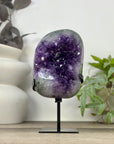 Large Natural Amethyst Geode with Deep Purple Amethyst Crystals - MWS3315