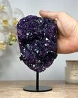AAA Uruguayan Amethyst Cluster Formation - MWS1466